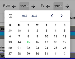 screenshot of date picker
